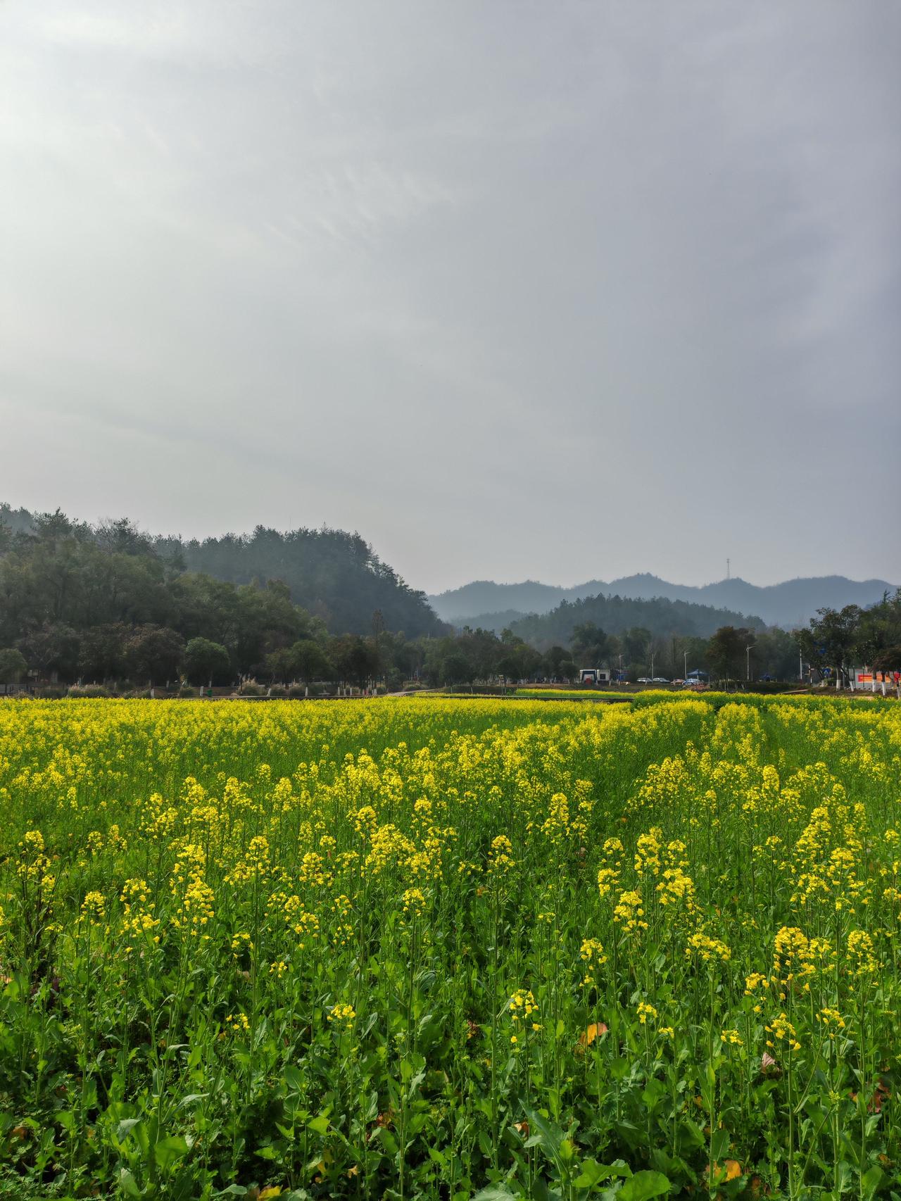 春节时孩子们收到长辈们的压岁钱乐得开口笑，可钱怎么来的，他们未必真的清楚，那都是