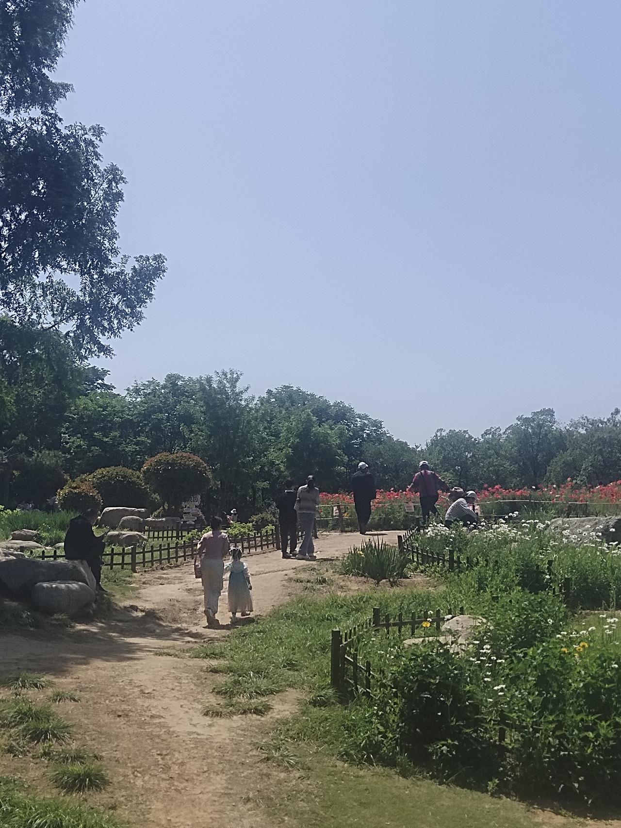 森林公园空气清新，风景如画，完全就是个天然大氧吧。在这样的地方，找个角落摆上茶局