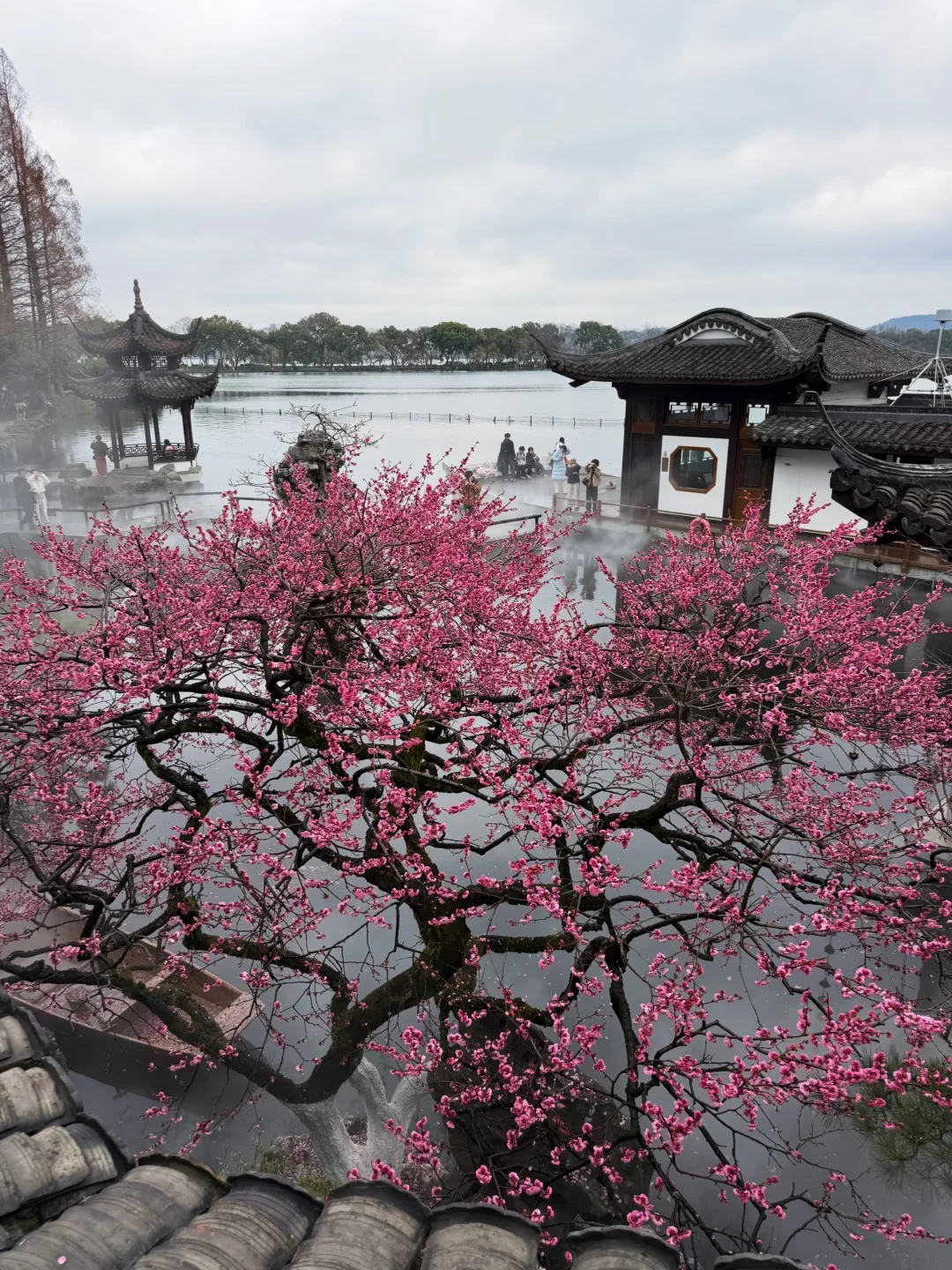 2.24live实拍❗️雨天的西湖杀疯了😭