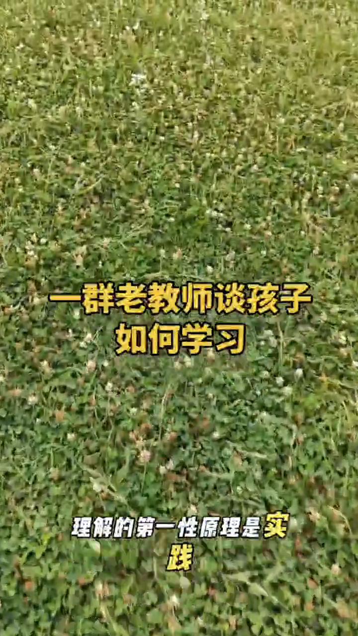 一群老教师谈孩子如何学习。学习的第一性原理是自学而不是补课。自学的第一性原理是