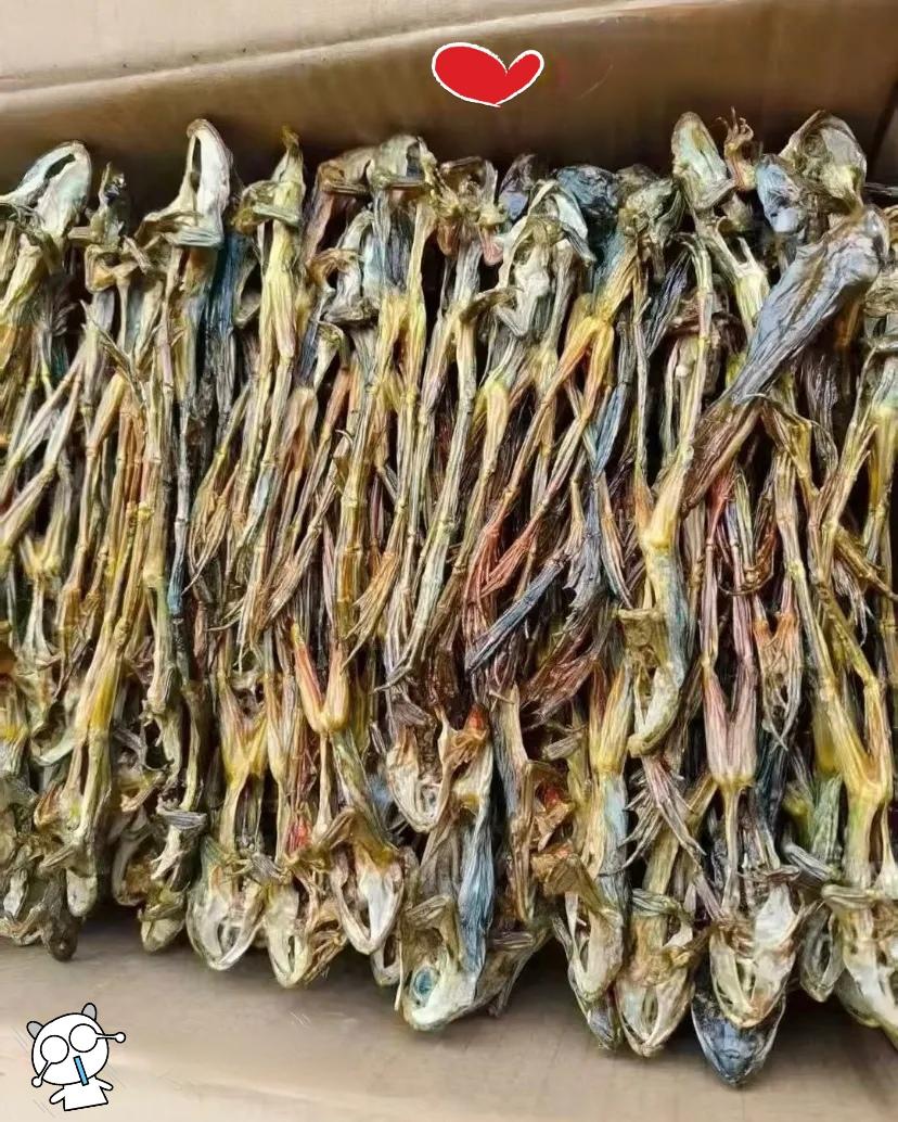 嫁到湖南的大学同学找我玩儿，连吃带住招待她三天花了5000。一周后收到寄来的一