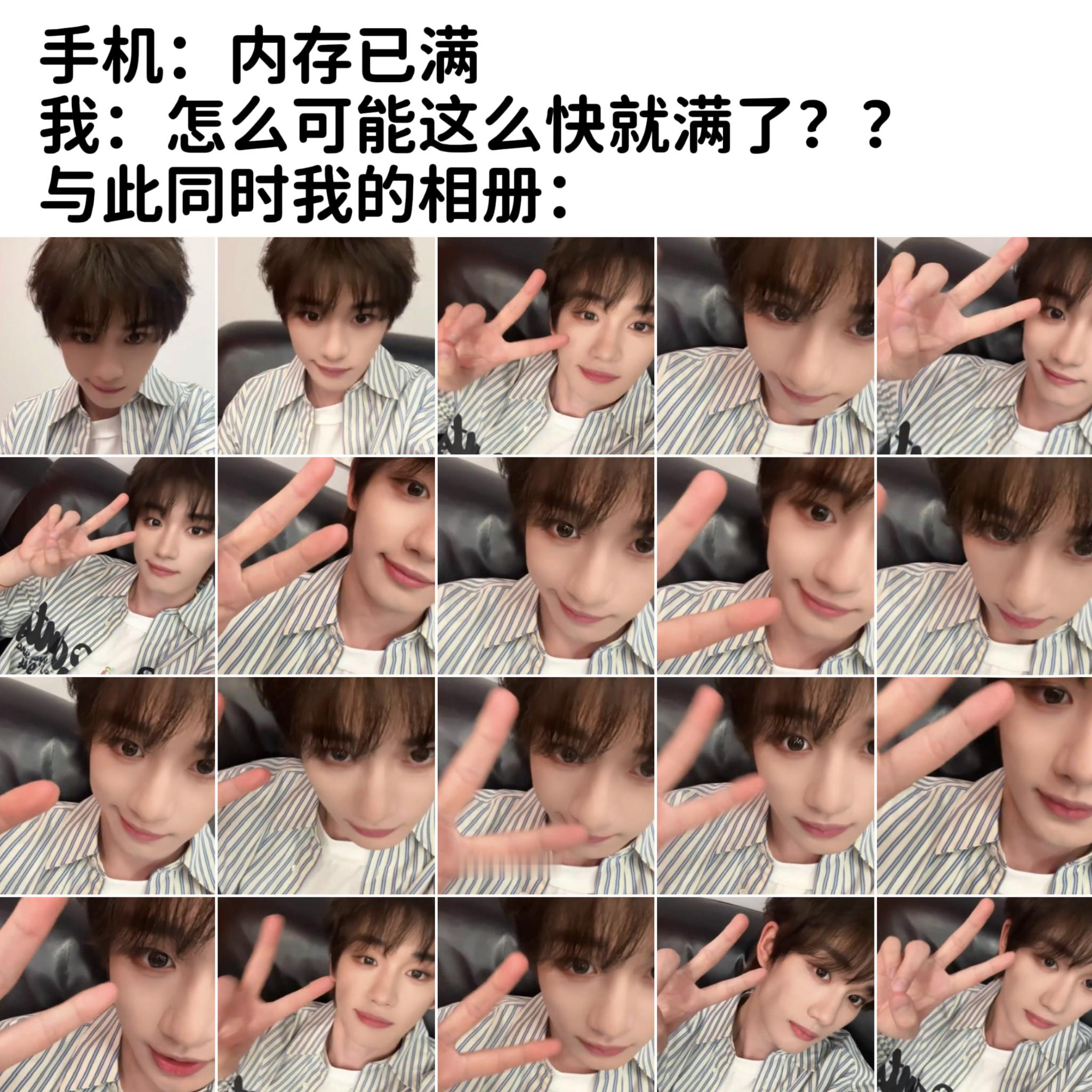 和没养过猫的人没话说