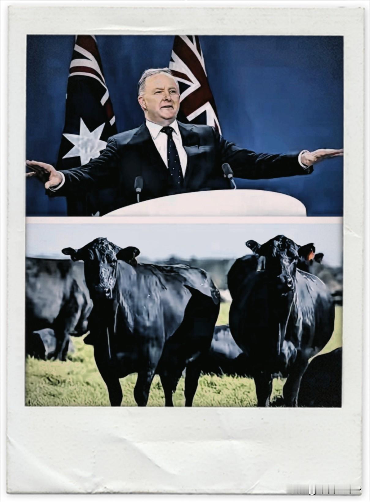 制裁不过夜！就在中国解放军2025围台军演结束，澳大利亚脑瓜子嗡嗡的，31日，