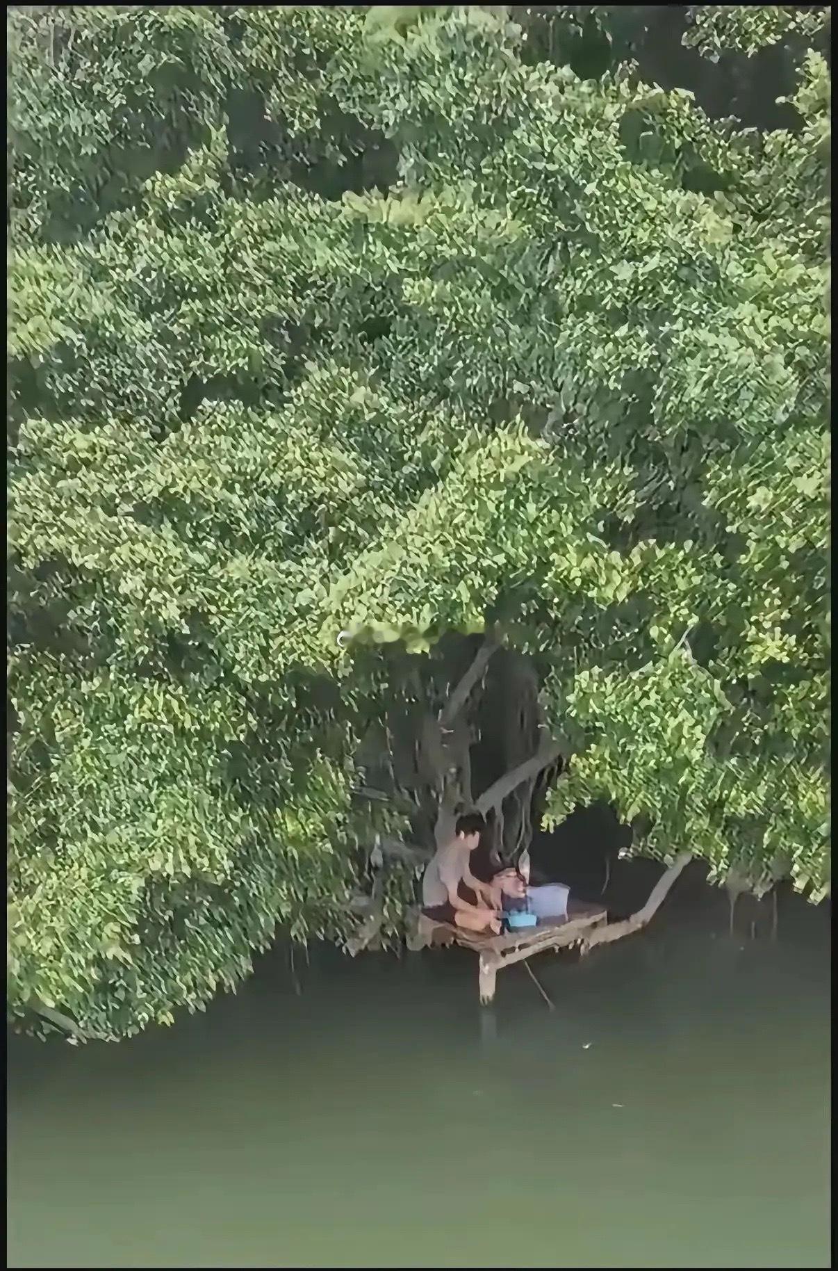 有没有懂钓鱼的朋友，鱼上钩后大树会不会影响拉杆？