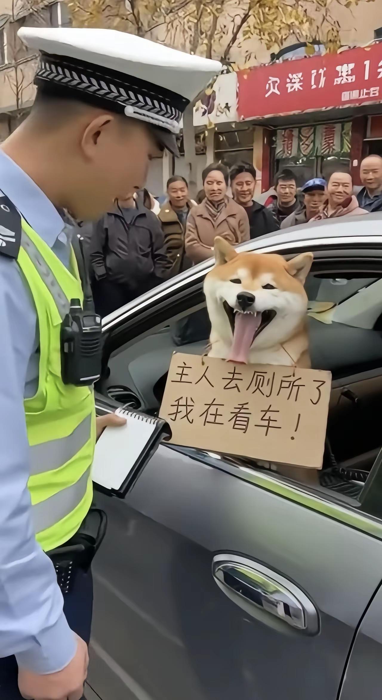 看到这种情况，交警也得给个面子吧！