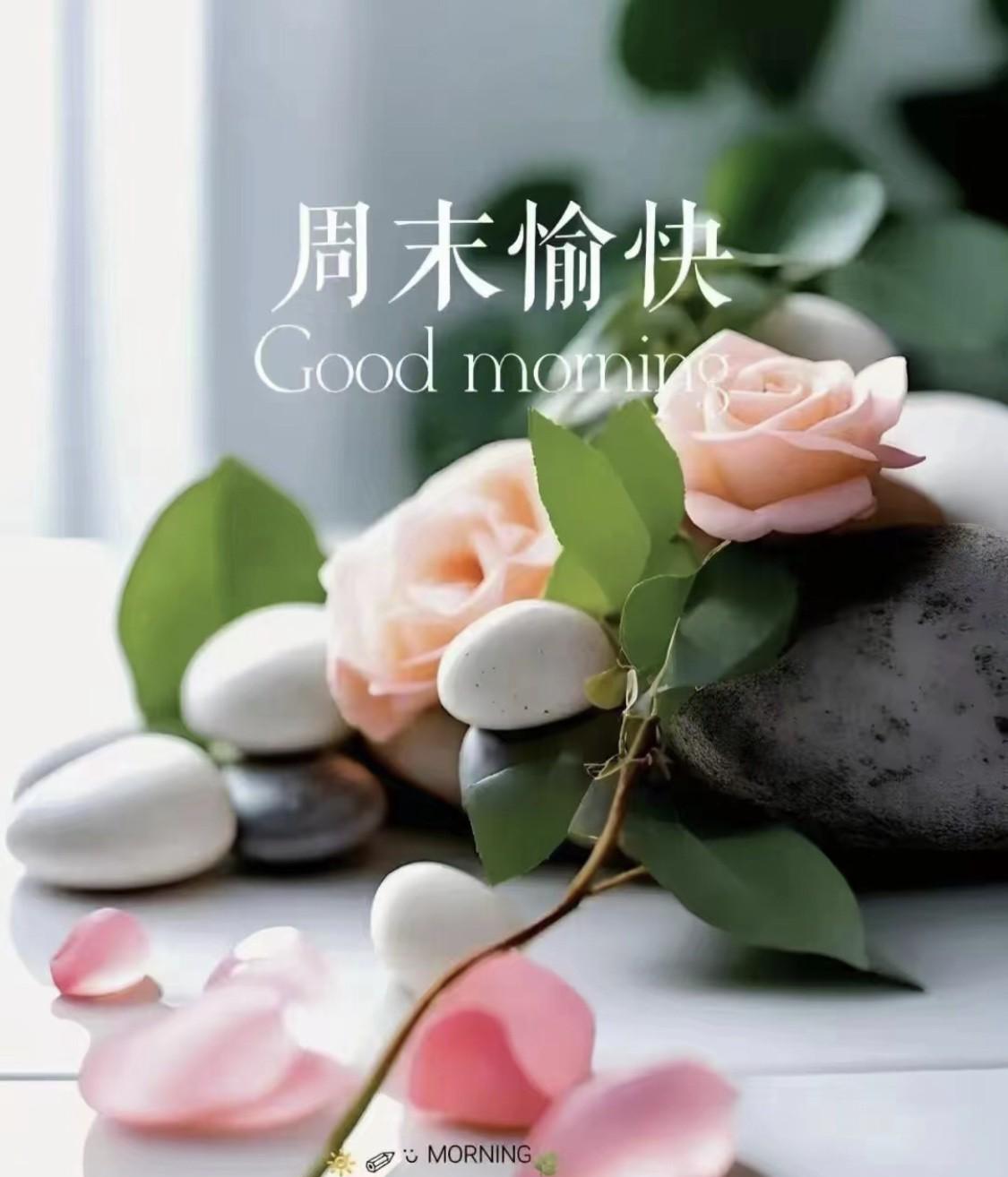 2025年6月8日星期日农历五月十三