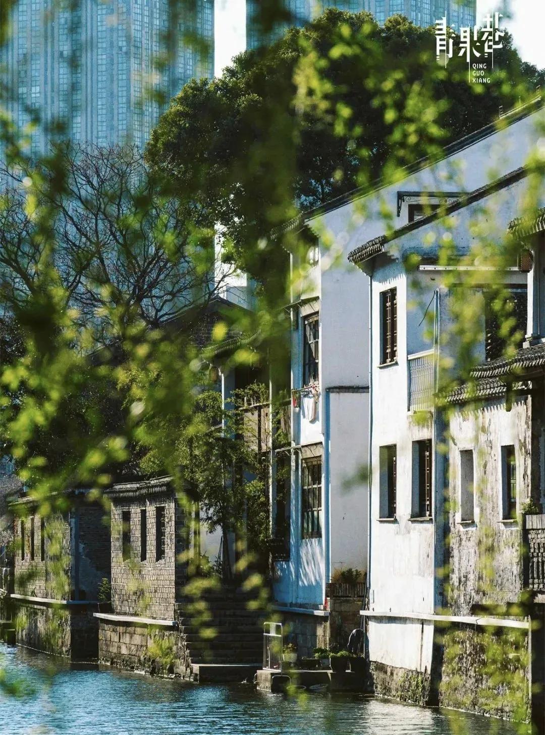 常宝，登顶全省第一！今年夏天，常州文旅市场：全市12家重点监测景区接待游客、直接