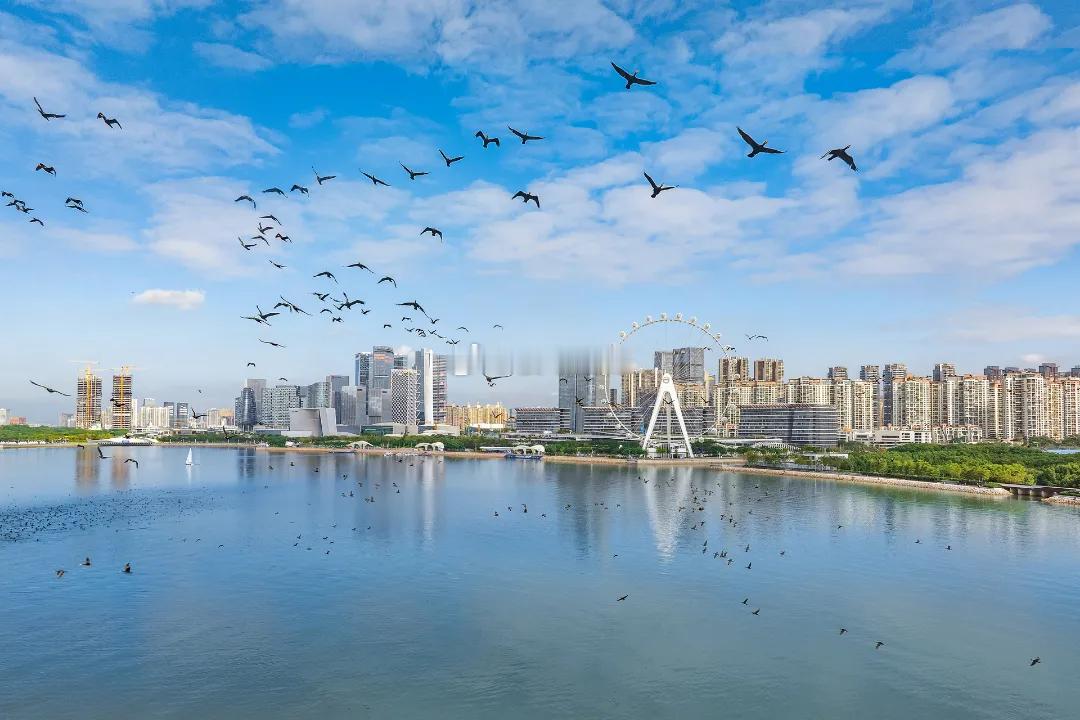 现在深圳楼市，相比“房价什么时候上涨”，更重要的是：“我愿意为哪种资产等待三五八