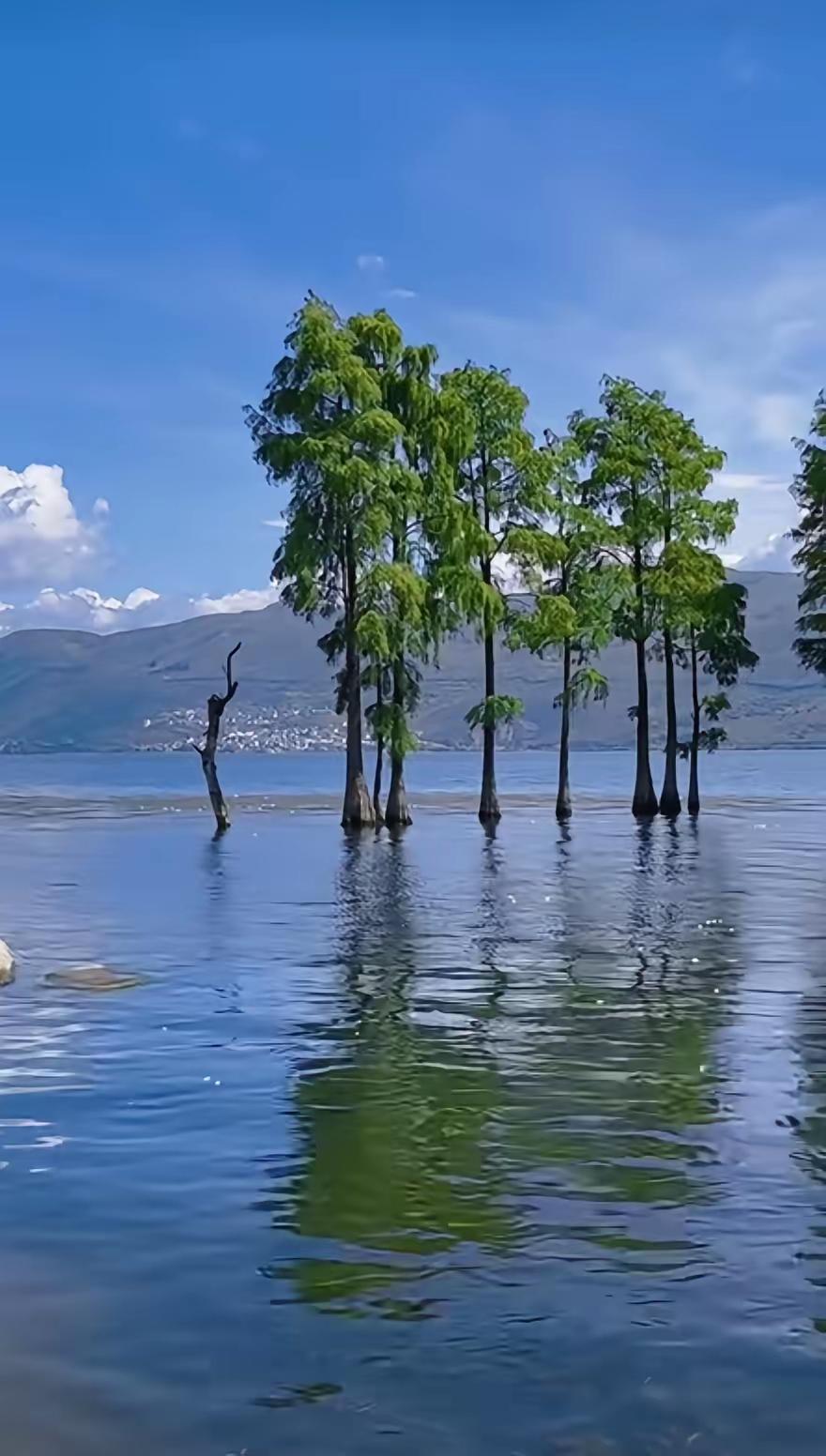 世上最厉害的人，是灵性高的人。所谓灵性，就是阳谋。所谓城府，就是阴谋。灵