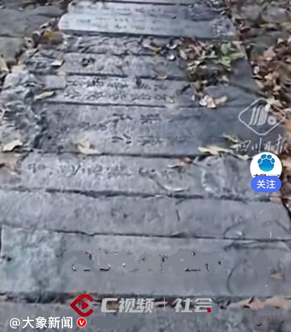 近日，江苏无锡惠山国家森林公园的事，真的越想越膈应，也太不尊重逝者了……