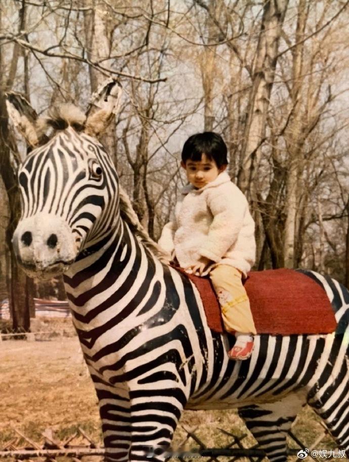 谁懂彭小苒的双重幸福！连播两部剧热度不断走高，童年高颜值全家福吸睛，一家三口颜