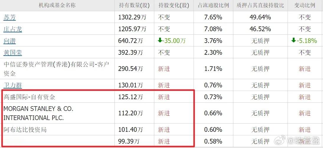实在令人费解！高盛、摩根斯坦利、阿布达比、瑞银，皆是国际顶尖的头部外资机构，放眼