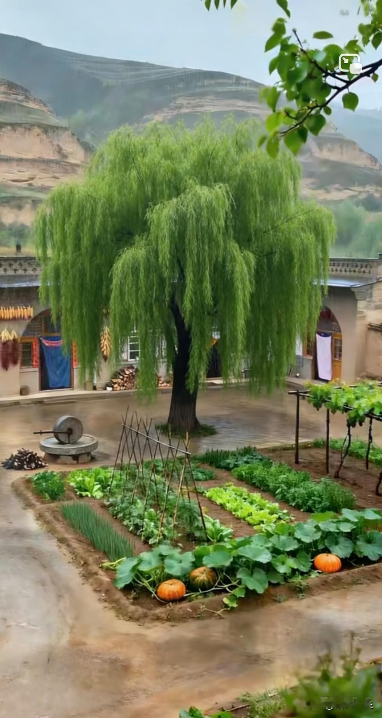 今天看到篇短文，家里做点什么好吃的，她婆婆都想着小姑子，弄的她心里很不舒服这