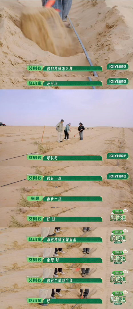 种地吧沙漠种玫瑰大漠黄沙漫天，浪漫从不是凭空而来。跟着当地农户学好栽种技巧，外围