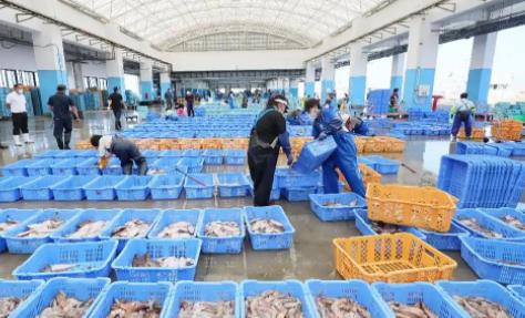 中国现在之所以不和日本打，不是因为中国自己太软弱，也不是为了和平想放过日本，更不