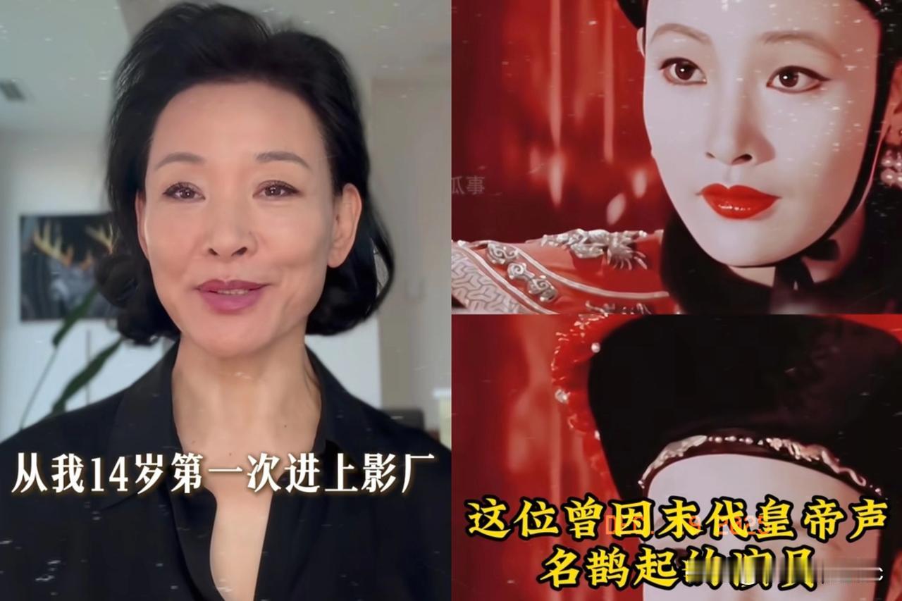 现在整个娱乐圈最让人不理解的人，我想应该就是美国人陈冲了吧，打开电视居然又是陈