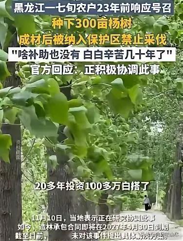 黑龙江齐齐哈尔市，72岁农妇，在23年前，种了360亩杨树，有数万颗，投资了10