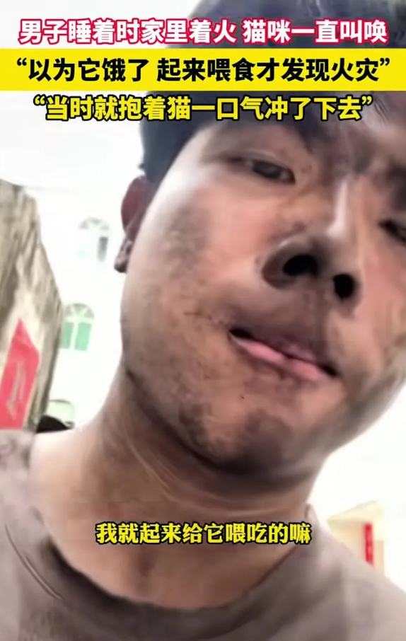 “猫咪救主！”一位男子在熟睡中被家里的猫叫醒，原以为是猫饿了想吃饭，迷迷糊糊地起