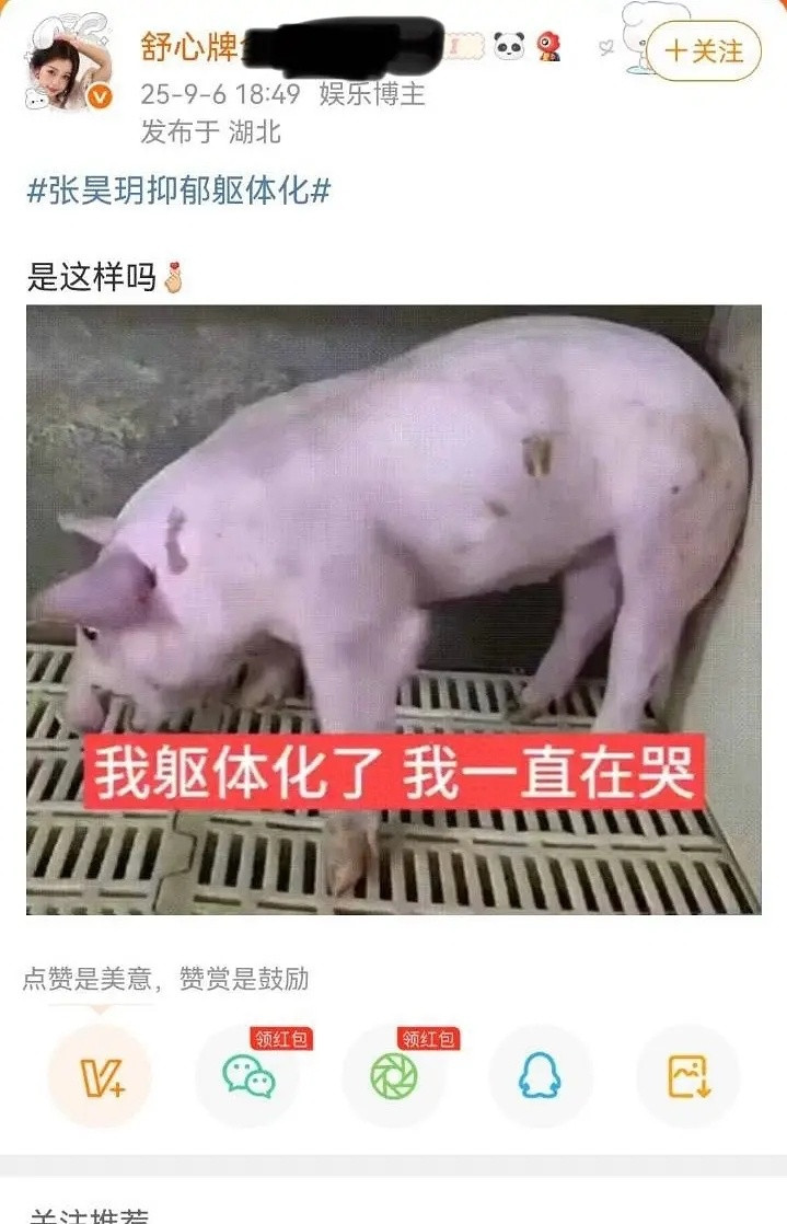 我现在艾特虞书欣了，按照虞书欣粉丝的理解，我艾特她了，我和虞书欣就是一伙的了。虞
