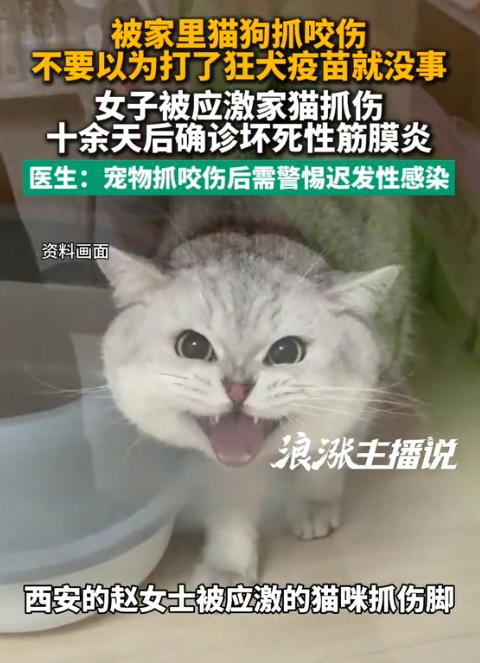 太吓人了！陕西西安，一女子被家中应激猫咪抓伤足背脚踝，出血后赶紧去社区医院清创缝