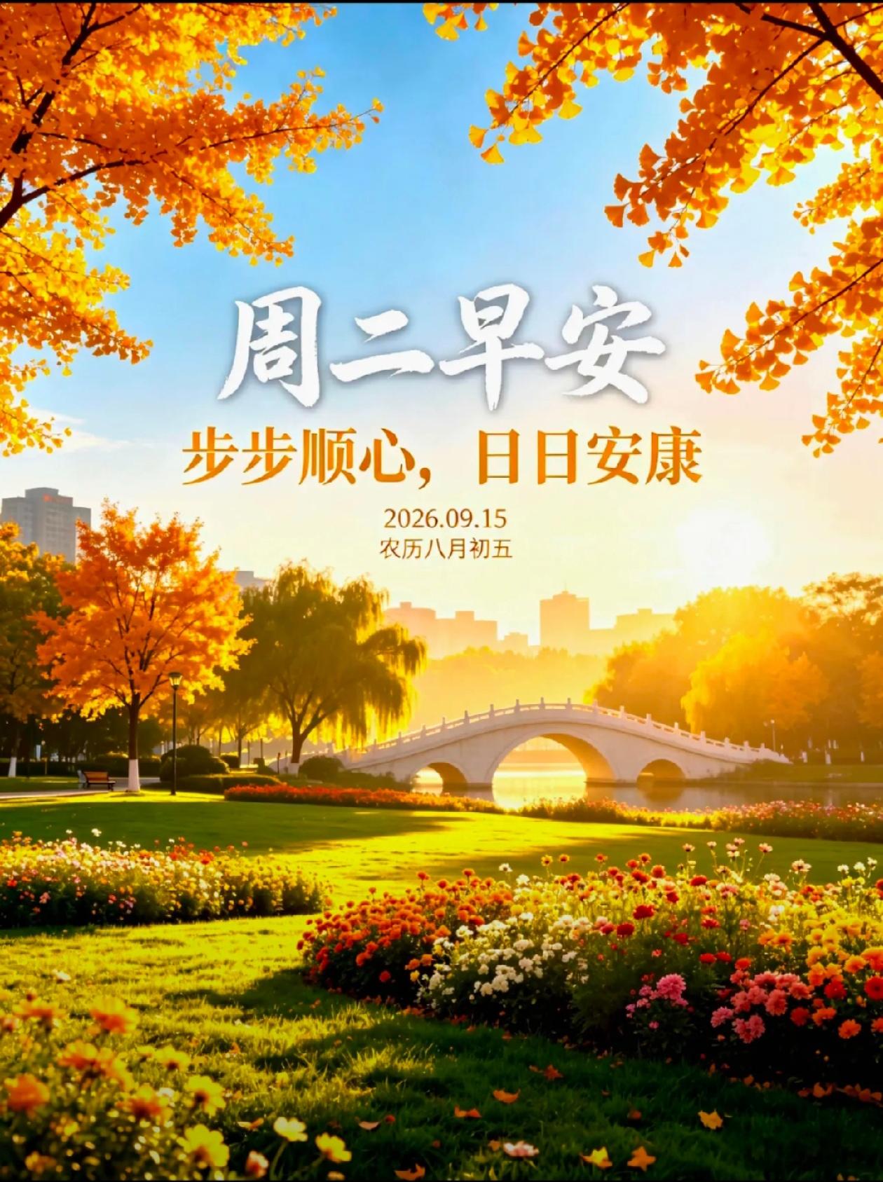 2026./9月15日，每束清晨暖阳，都是顺遂的开端🌿🌸在周