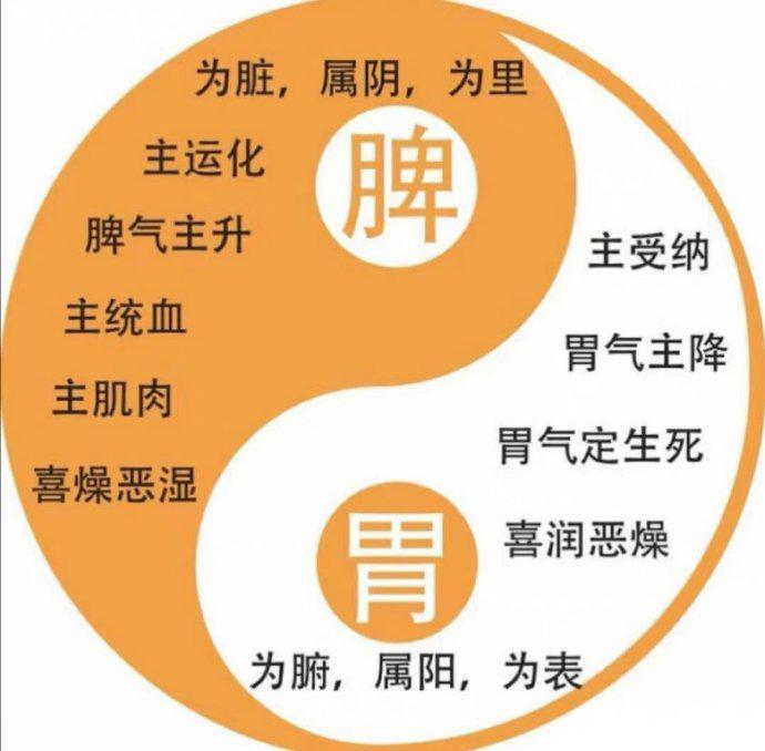 和胃，就是脾胃喜欢平和的药物什么是平和？就是偏性小的，甘淡，甘甜类的，比如茯