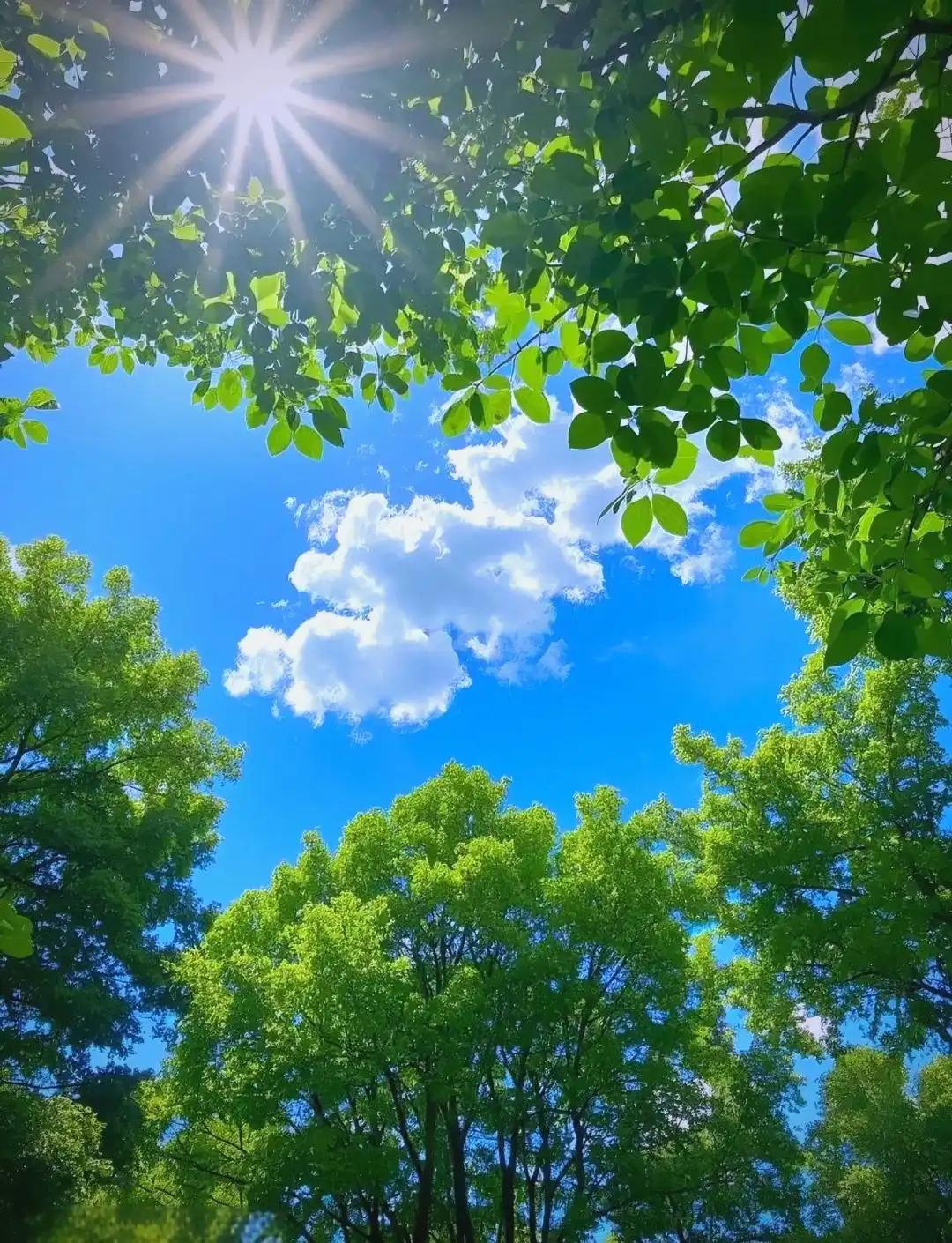 8个养生小妙招:1、晒太阳，每天半个小时左右。2、睡觉，每天睡够八小时。