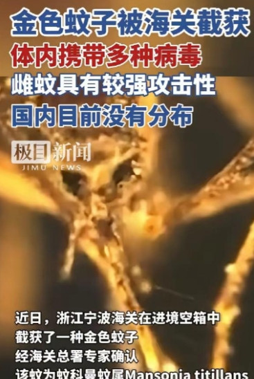 一整船“带毒蚊子”居然直接开到了宁波！又是美国，又是病毒，不过这次可不是什么