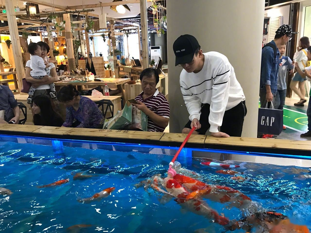 成毅鼓捣猫宁成毅飞吻ε(⊙>₃