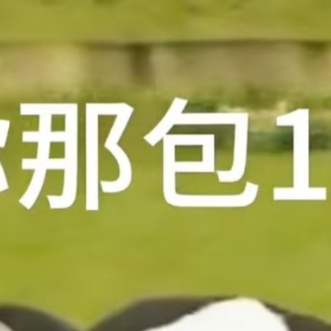 0000蔷薇的种植方法：1、种植方法种植蔷薇花可以采用播种的方法，蔷薇花的最佳播
