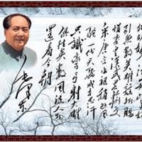 毛主席诗词我最喜欢这句？在毛主席的诗词中，海内外影响最大的是沁园春.雪，这首诗词