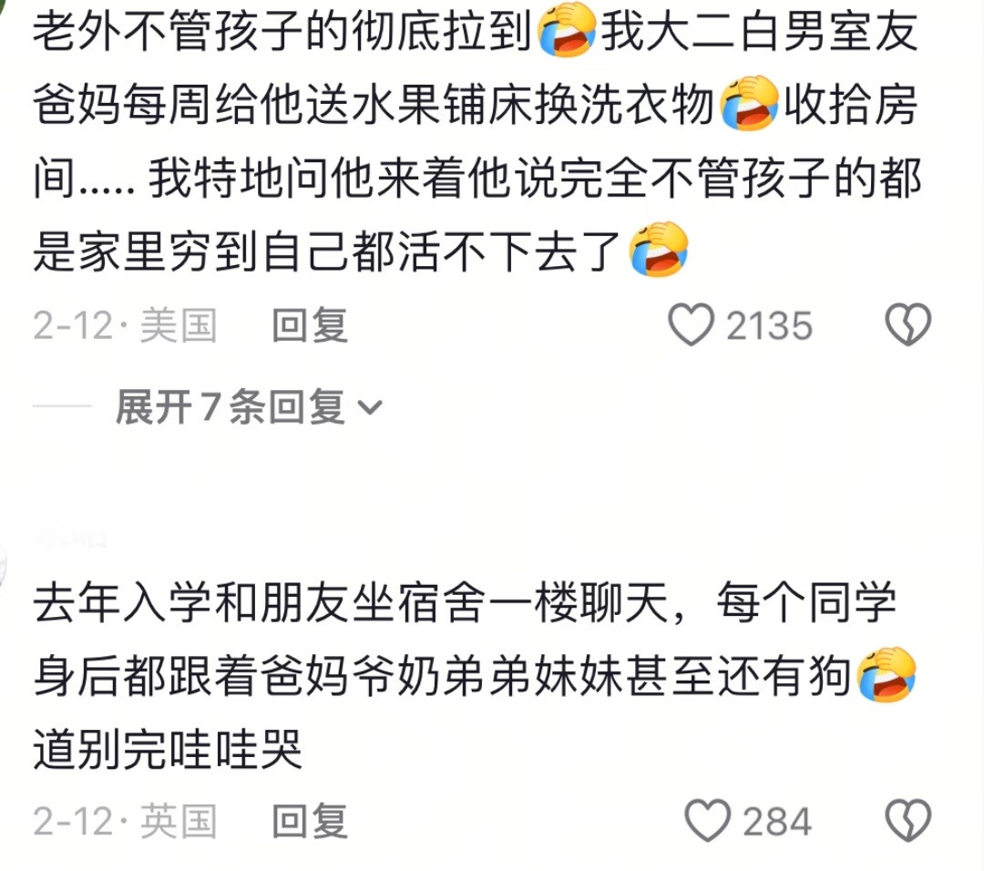 意林：我欺骗了全世界其实外国人也有爱