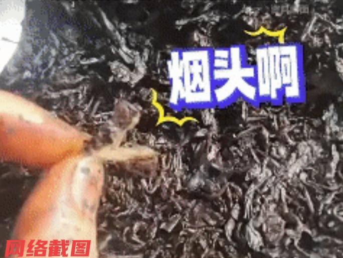 广东肇庆有男子在网上买有几饼云南普洱茶。只是男子在收到货后忙开包品尝时，却在