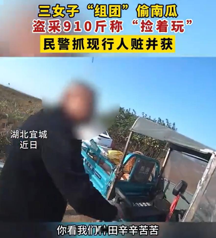 这下玩笑开大了！湖北宜城，三名女子开着三轮车组团去偷偷南瓜，结果被农户当场抓个正