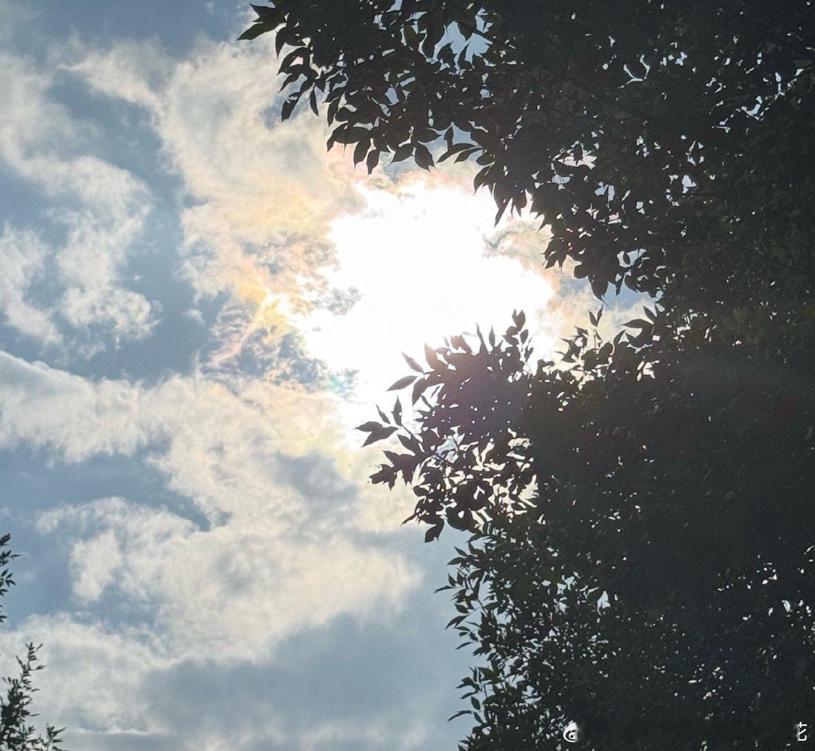 上天总爱赐予我等嘴馋之人以无上磨难本好好躺着看手机pyq有店家发刚出炉的xx我一看刚出炉我得吃再见外