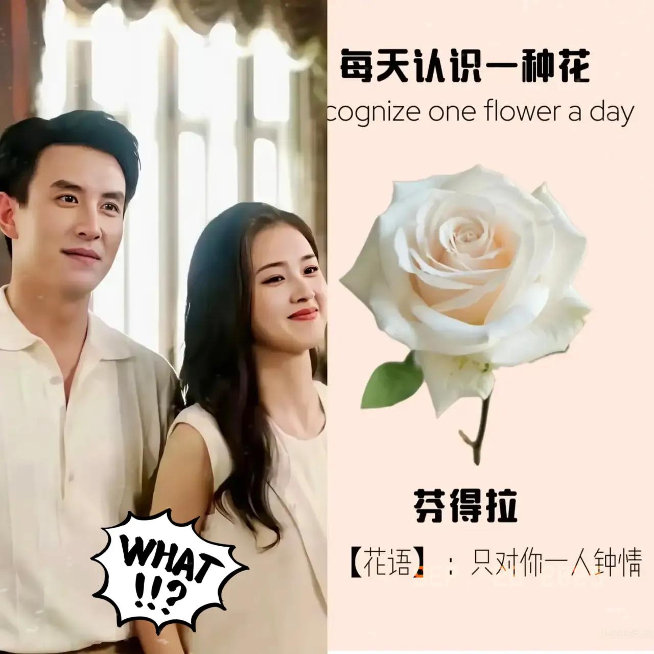 《盛夏芬德拉》爆火，不让我意外；真正戳人的，是刘萧旭爆红后那满屏的祝福。