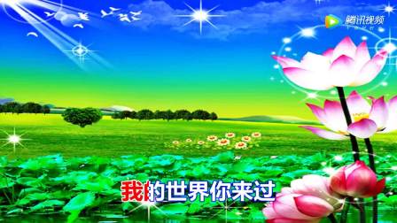 2440049262118836089.jpg?id=0