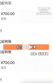 四川绵阳一名女大学生熬了数月，前后修改几十稿完成非遗盘扣毕设“凤穿牡丹”，花