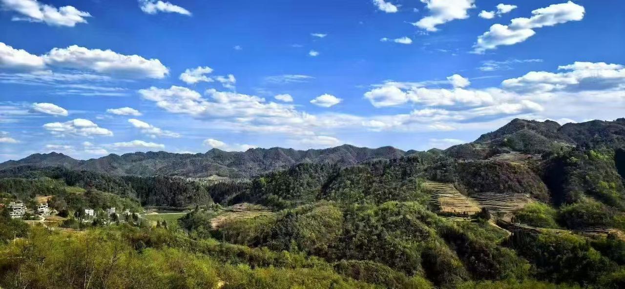 最近的A股涨得时候只涨权重大票，很多小票的涨幅被控制在1%以内，别说赚钱了，回本