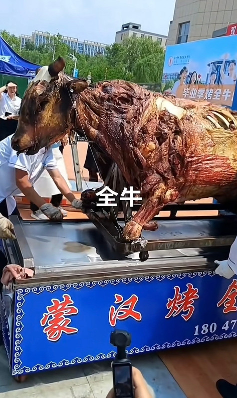 烤全牛为啥和烤全羊的感觉不一样呢。