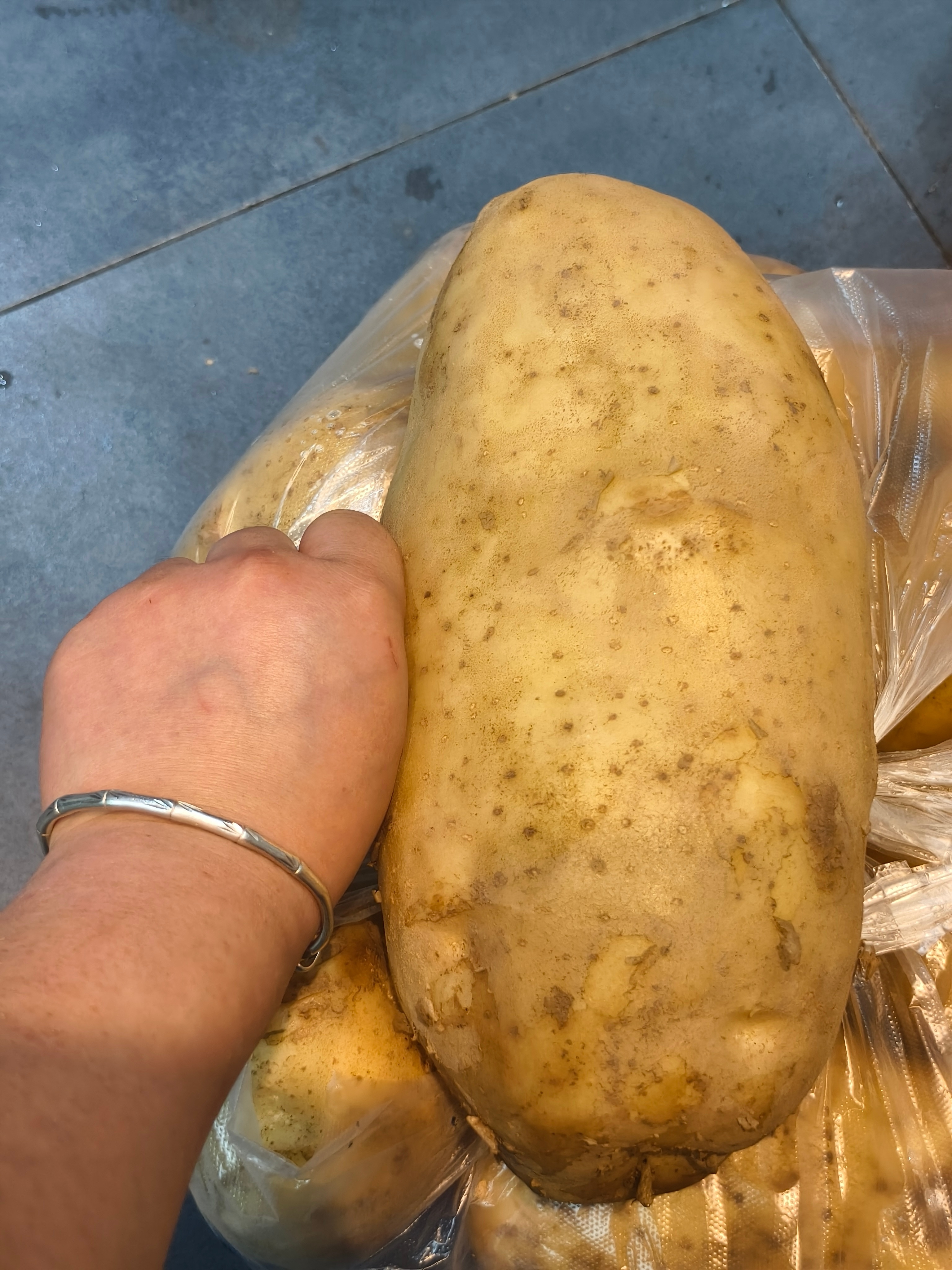 这洋芋真是个土豆🥔