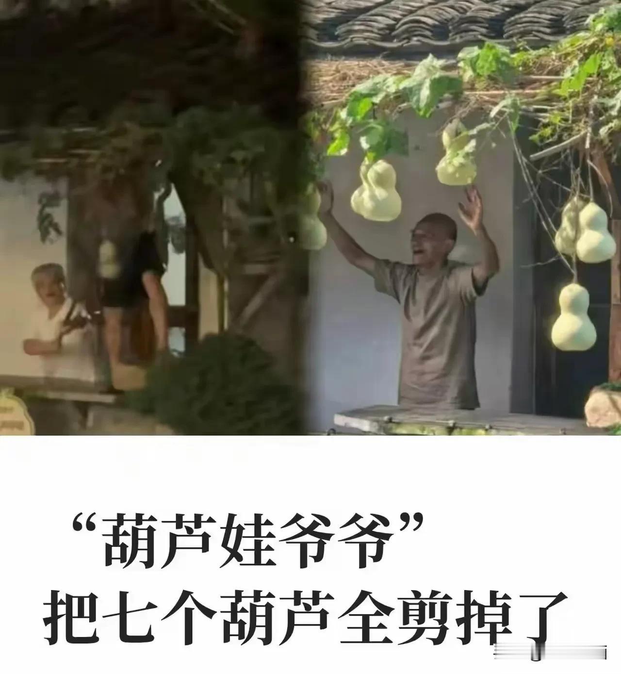 七个葫芦挂在那里，我无话可说。因为那是收割流量的常规操作，无可厚非。今天早
