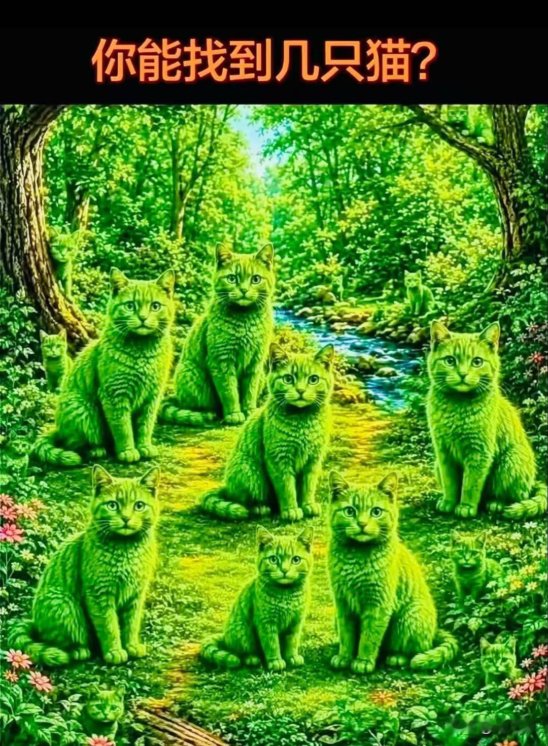 眼力小挑战，看看你能找到几只猫来考考大家的眼力！这张图里面藏着不少小猫，