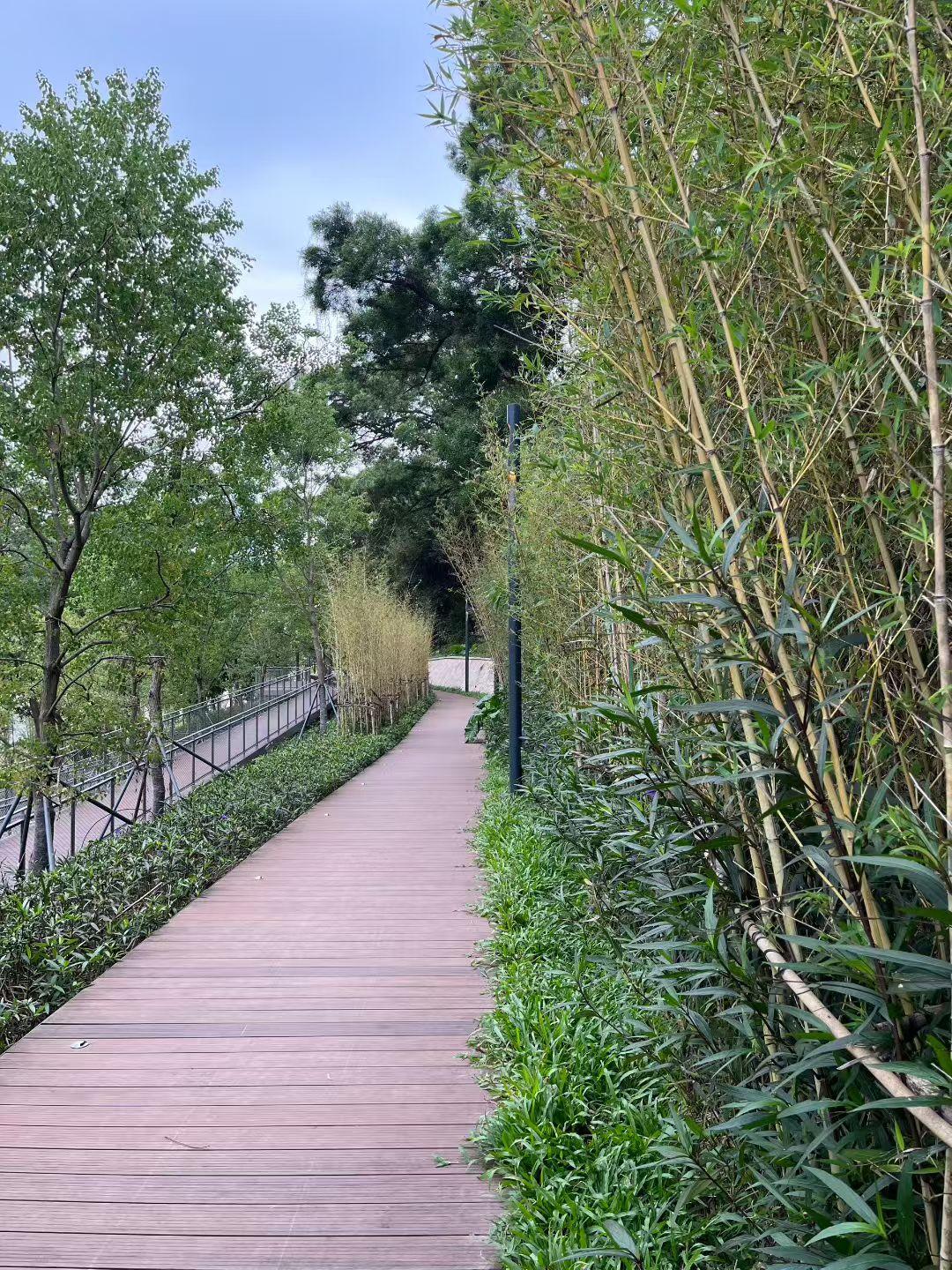 百闻不如一见。这句话放这件事中似乎有点偏，但也找不到更恰当的词了。小妹恨她婆婆