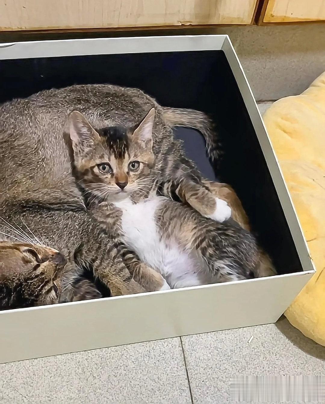 有妈妈依靠的感觉真好～