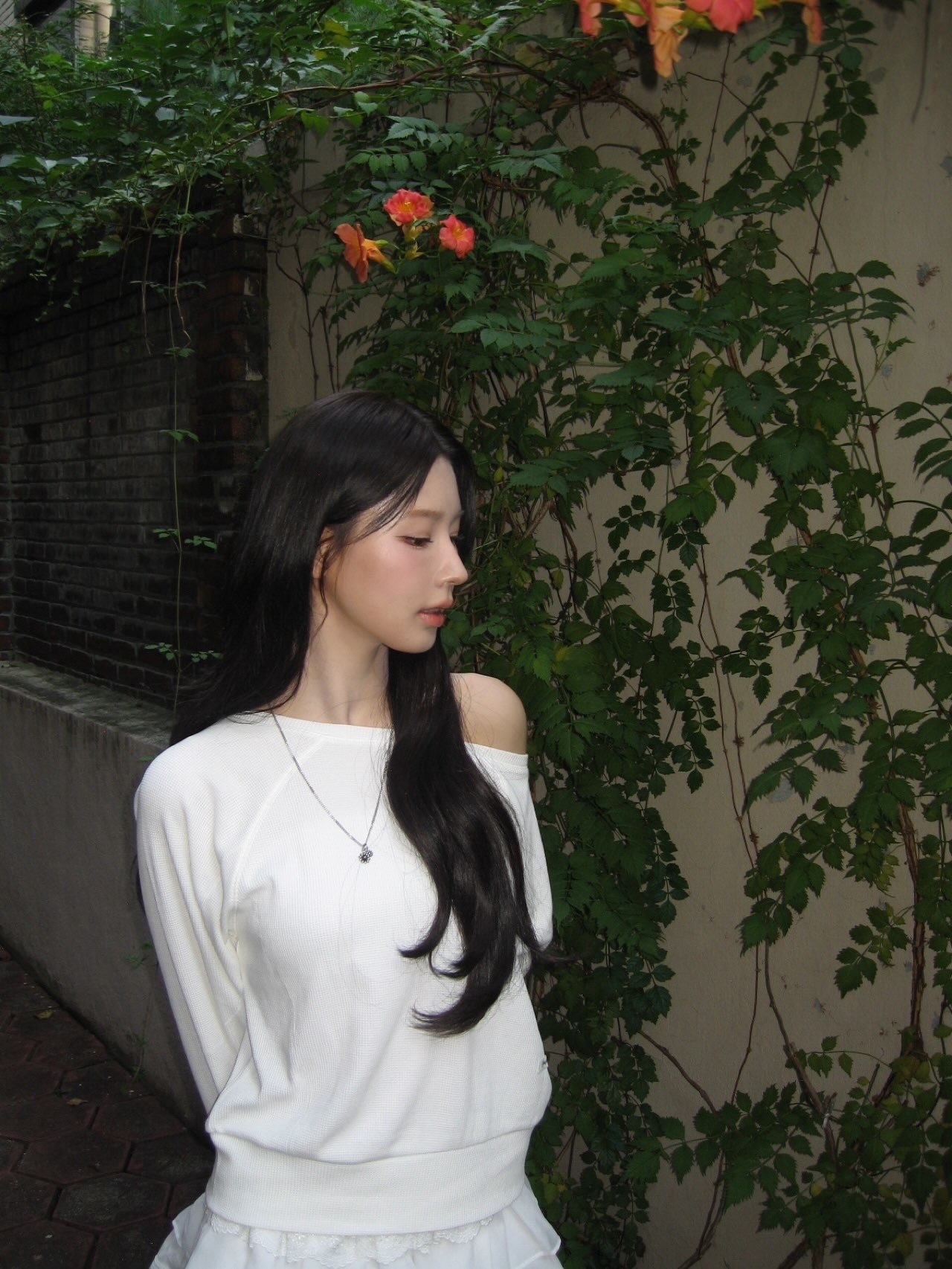 赵美延更新