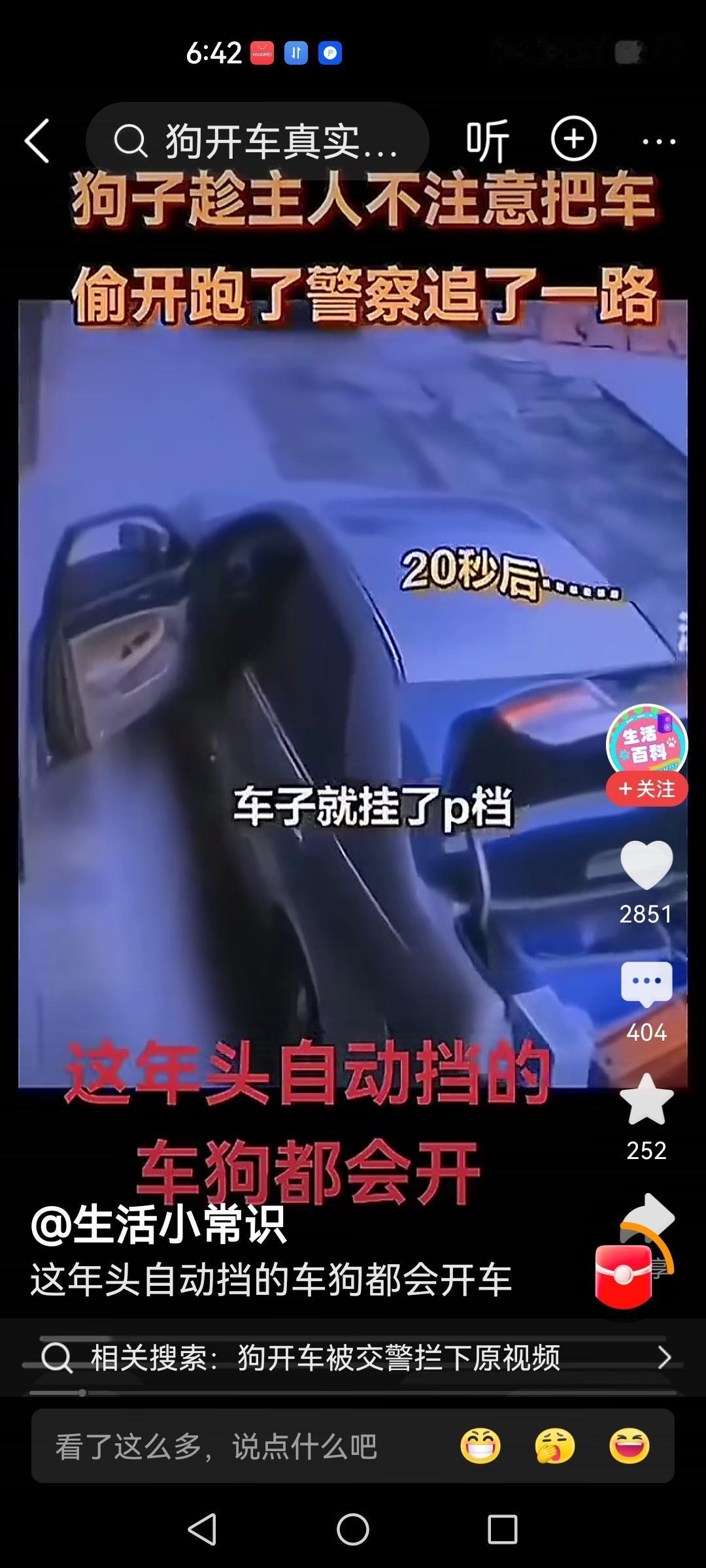 刚看到一个新闻，一条狗开了一辆车跑了，说是自动挡连条狗都会开，当然我表示对这条新
