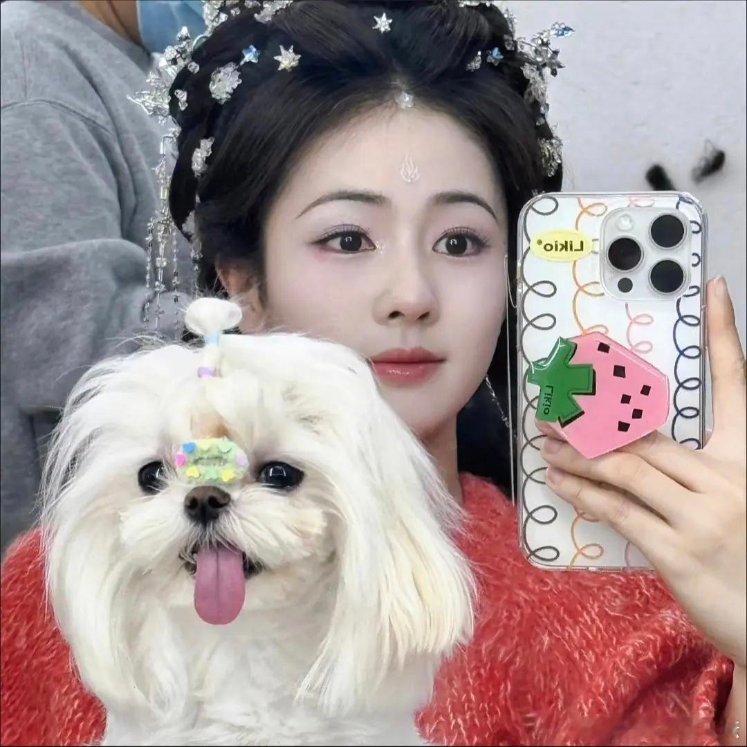 白鹿的小狗狗真的好可爱，赵露思的小狗狗有点显老了