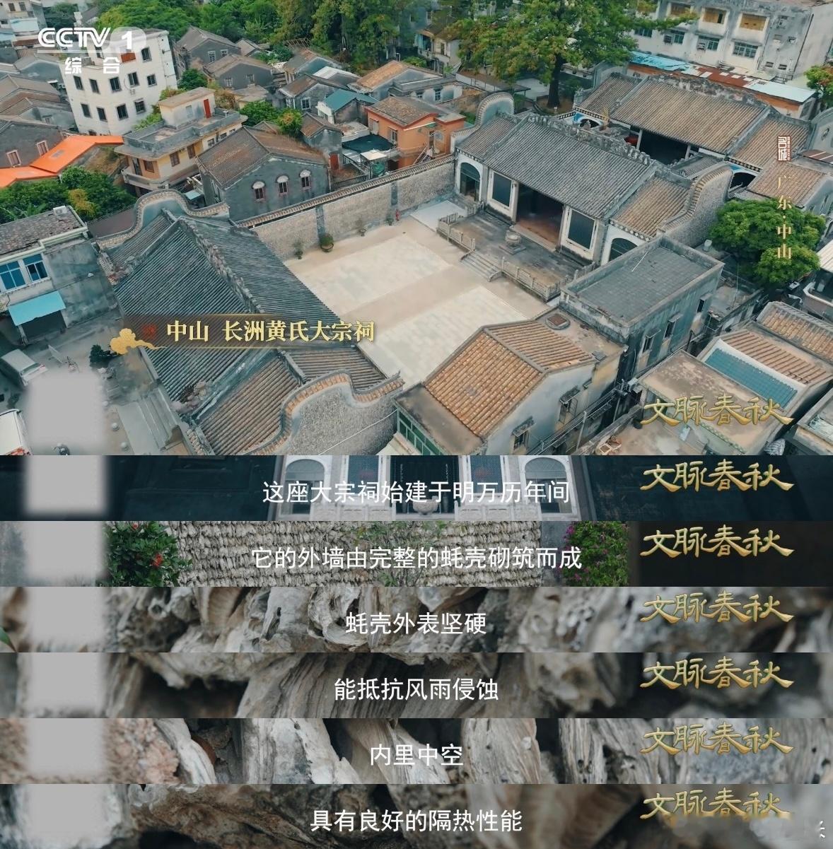 蚝壳砌的墙太震撼了古风摄影绝佳取景地，斑驳蚝壳墙面复古氛围感满分，传统建筑美学出