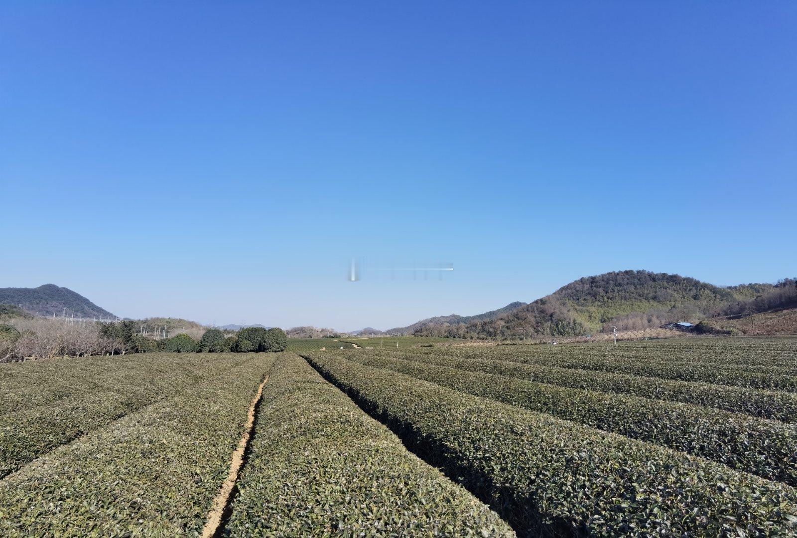 花坞茶谷～天然大氧吧～在绍兴，又是一个90%的本地人都不知道的静谧&绝美之地～